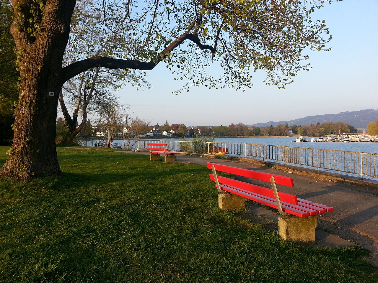 也已经展示 也已经展示