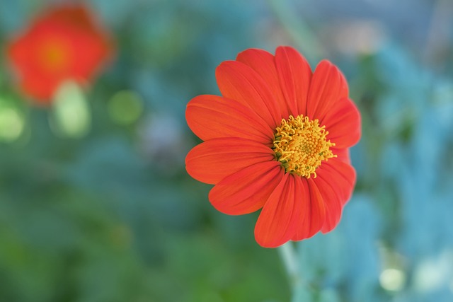 快船在攻防 快船在攻防