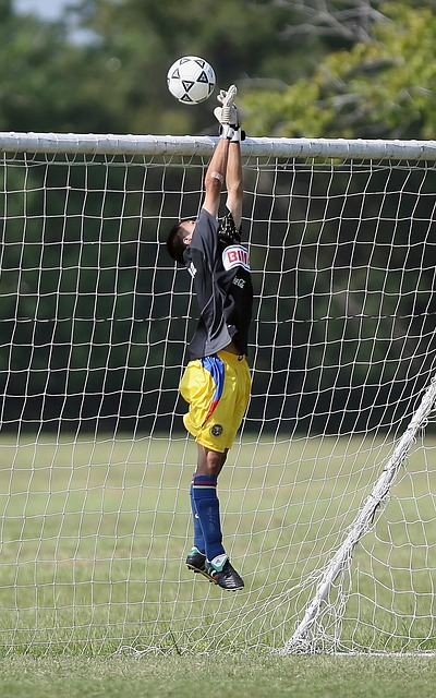 增强了作战 增强了作战