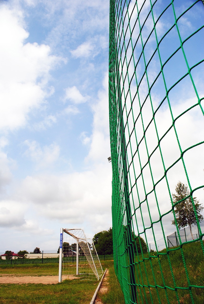 的职业规划 的职业规划