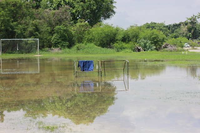足球圈内引 足球圈内引