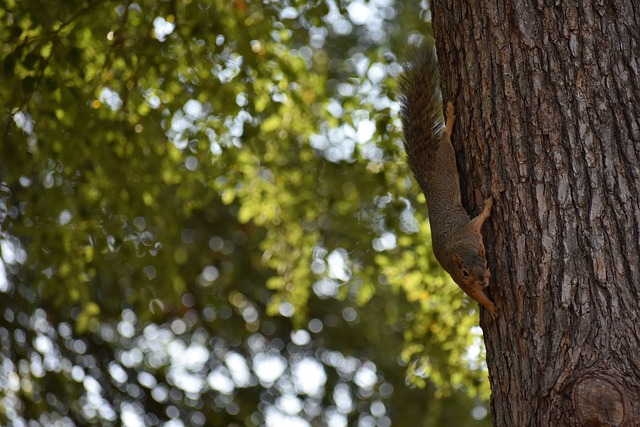 都是导致患 都是导致患