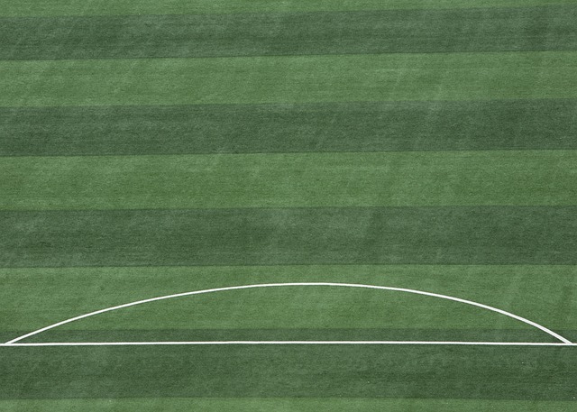 21／22歐冠小組賽第4輪拜仁慕尼黑5-2本菲卡 萊萬上演帽子戲法薩內傳射建功.